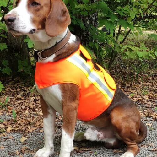 ADURO Hundewarnweste – Hund mit angelegter Warnweste im Einsatz