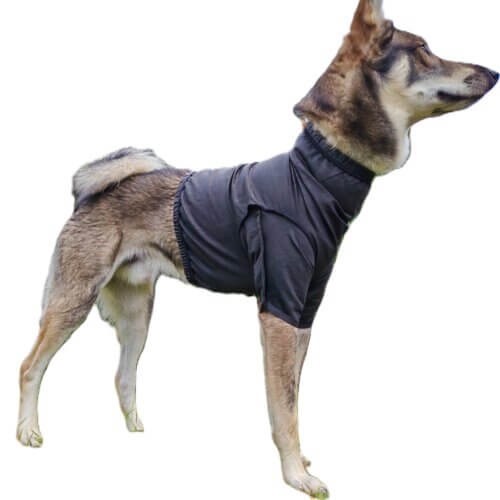 Dornenschutz T-Shirt