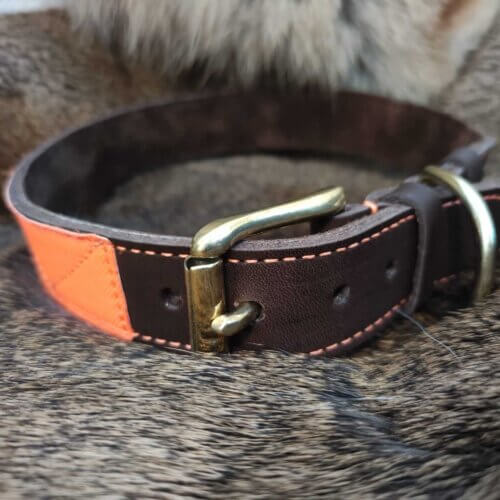 Lederhalsband mit orangenem Akzent auf Wilddecke