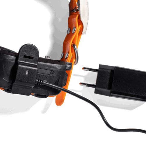 LOCIT GPS Halsband - DSCF0002-12