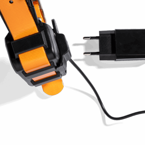 LOCIT GPS Halsband - DSCF0004-13