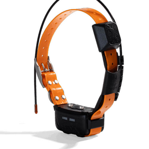 LOCIT GPS Halsband - DSCF0015-9