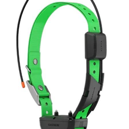 Garmin TT25K Ortungshalsband – grünes Hundehalsband mit schwarzem Tracker-Modul und Antenne, Seitenansicht freigestellt