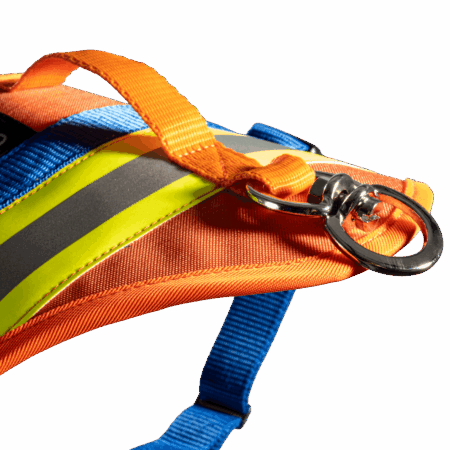 ADURO Nachsuchengeschirr in Orange – gepolstert und reflektierend