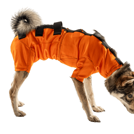ADURO WildGuard Body Schutzbody fuer Hunde