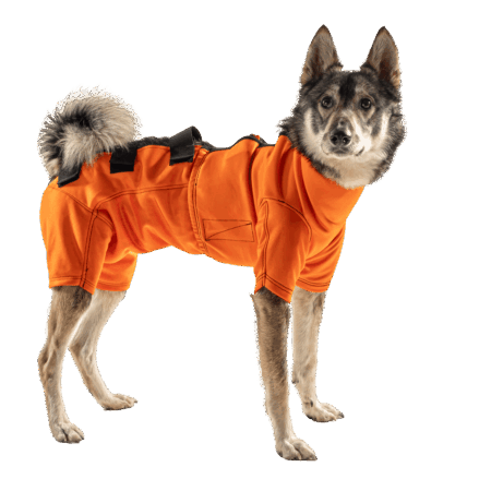 ADURO WildGuard Body komplett – Vorder- und Hinterteil am Hund